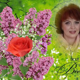 �����, ����