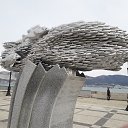 ���� ��������, ������ �������� - ��������� 1 ������� 2019