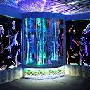 ���� ���������, �������, 74 ���� - ��������� 3 ������� 2019 � ������ ���� ����������