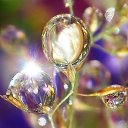 ���� ����, ������� - ��������� 29 ������� 2018