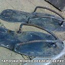 ���� �����, �������� - ��������� 14 ���� 2018 � ������ ������ ��������