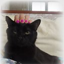 ���� �������, ��������, 50 ��� - ��������� 12 ����� 2019 � ������ ��������