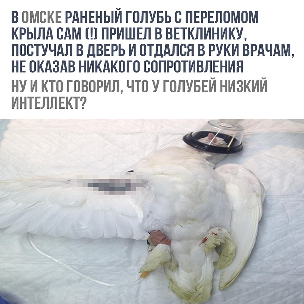    - 27  2018  17:13