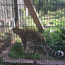 ���� �����, �����-��������� - ��������� 11 ������� 2018 � ������ ������ ��������