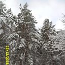  Taten, , 67  -  4  2019    