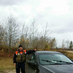 �����, ������, 40 ���