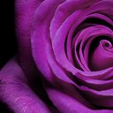 ���� Slave, ����-�����������, 45 ��� - ��������� 8 ����� 2019 � ������ ������ ��������