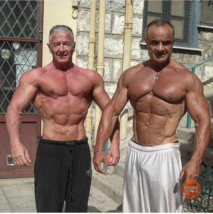 ������ ����