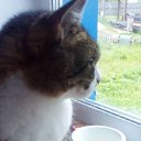 ���� ������, ������������� - ��������� 12 ������� 2018 � ������ �Mobile Uploads�