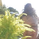��� �. �� ������� ���� ����������