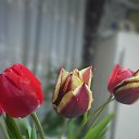 ���� �������, ��������� - ��������� 30 ���� 2018 � ������ ������-�������� ������ۻ