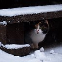 ���� �������, ����� - ��������� 9 ������� 2018 � ������ ���� ����������