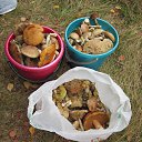 ���� ����, �������� - ��������� 12 �������� 2018 � ������ ���� ����������