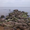  Last, , 62  -  23  2018