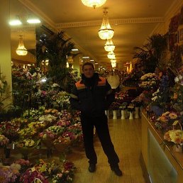 ���� ���� ��������, �����-���������, 46 ��� - ��������� 3 ������� 2019