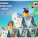 ���� �����, ������ - ��������� 8 ������ 2019 � ������ �������� �������-�������