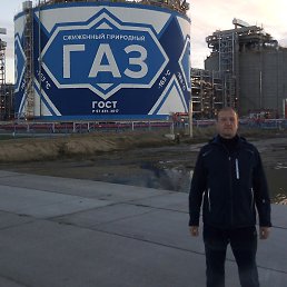 ����, ������, 54 ����