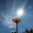  , , 75  -  6  2018    2018