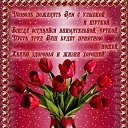���� Nikolass, ���� - ��������� 7 ����� 2019 � ������ �8 �����