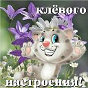 ���� ���������, ���������, 71 ��� - ��������� 8 ������� 2018 � ������ ������ ��������