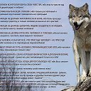 ���� �������, �������, 43 ���� - ��������� 28 �������� 2018 � ������ ���� ����������