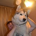 ���� ������, �����, 59 ��� - ��������� 14 ������ 2018 � ������ ���� ����������