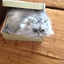 ���� �����, �����������, 70 ��� - ��������� 10 ������� 2018