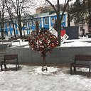 ���� Begi, ������-��-����, 41 ��� - ��������� 9 ������ 2019