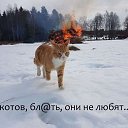 ���� �������, ������, 47 ��� - ��������� 8 ����� 2019 � ������ ���� ����������