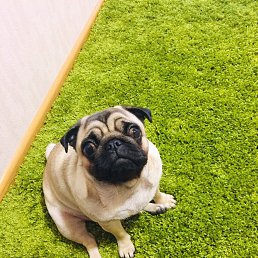 ���� B, ������, 57 ��� - ��������� 11 ������ 2019