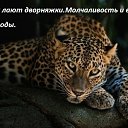 ���� ������, ����� - ��������� 5 ������� 2018 � ������ ������ ��������