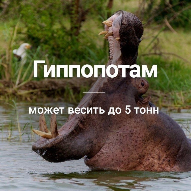   :    - 23  2018  16:28