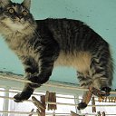 ���� �������, ����������� - ��������� 22 ������� 2018 � ������ ���� ����������