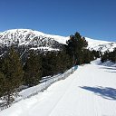 ���� ������, ������ �����, 44 ���� - ��������� 10 ������ 2019 � ������ �������� ������ 2014�