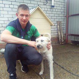 ���������, ������