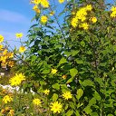 ���� �������, ���������, 66 ��� - ��������� 25 �������� 2018 � ������ ������ ��������