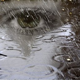 ���� Nat, ���������, 50 ��� - ��������� 11 ������ 2019