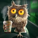 ���� �����������..., ������� - ��������� 6 ����� 2019 � ������ ���� ����������