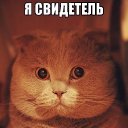 ���� ����, ������ - ��������� 12 �������� 2018 � ������ ������ ��������