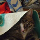 � ��� ���� � �����