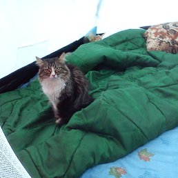 ���� Nikolay, ������������, 53 ���� - ��������� 16 ������ 2019