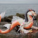���� ��������� Dragonita, �����-���������, 38 ��� - ��������� 2 ������� 2018