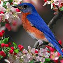 ���� �������, ������ - ��������� 11 ������ 2018 � ������ ���� ����������