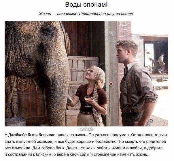 ec o, ype epy  ce - 9