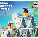 ���� �����, ������ - ��������� 17 ������ 2019 � ������ �������� �������-�������