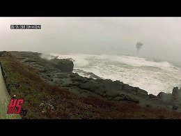5 неизвестных монстров попавших в кадр