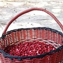  , , 60  -  13  2018    ,  .  2018.