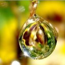 ���� ����, ������� - ��������� 29 ������� 2018