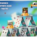 ���� ����, �����������, 57 ��� - ��������� 9 ������ 2019 � ������ �������� �������-�������