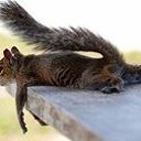 ���� ������, ������������ - ��������� 27 ����� 2019 � ������ ��������